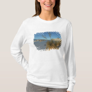 USA, New Mexico, White Sands National 3 T-Shirt