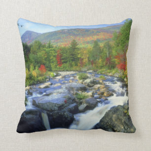 USA, New York. A waterfall in the Adirondack Cushion
