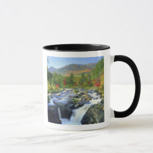 USA, New York. A waterfall in the Adirondack Mug