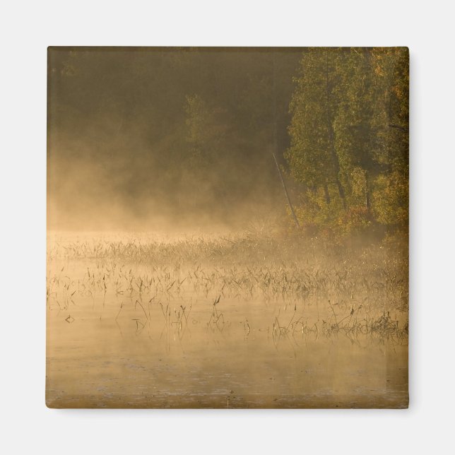 USA, New York, Adirondack Park. Sunrise mist on Magnet (Front)