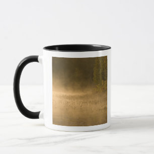 USA, New York, Adirondack Park. Sunrise mist on Mug