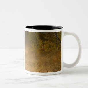 USA, New York, Adirondack Park. Sunrise mist on Two-Tone Coffee Mug