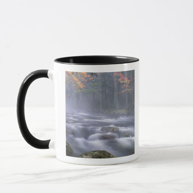 USA, New York, Adirondacks, Big Moose River Mug (Left)