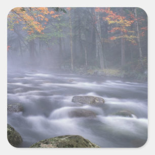 USA, New York, Adirondacks, Big Moose River Square Sticker
