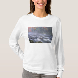 USA, New York, Adirondacks, Big Moose River T-Shirt