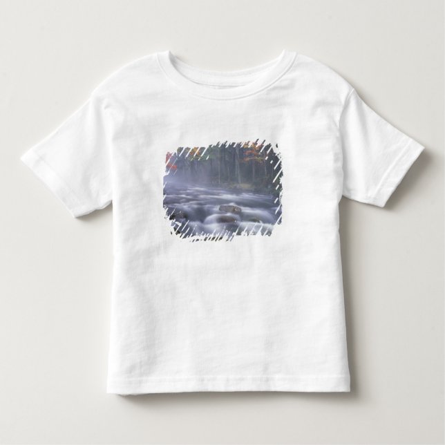 USA, New York, Adirondacks, Big Moose River Toddler T-Shirt (Front)