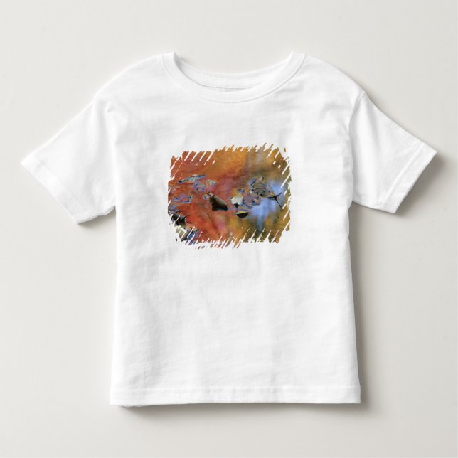USA, New York, Adirondacks, Fallen Leaves in Toddler T-Shirt (Front)