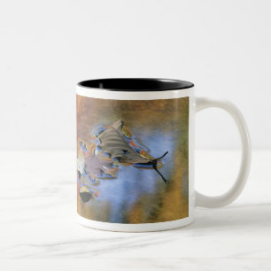 USA, New York, Adirondacks, Fallen Leaves in Two-Tone Coffee Mug
