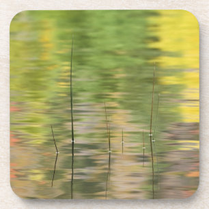 USA, New York, Adirondacks, Reflections in water Coaster