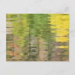 USA, New York, Adirondacks, Reflections in water Postcard