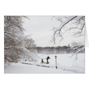 USA, New York City, Central Park in winter