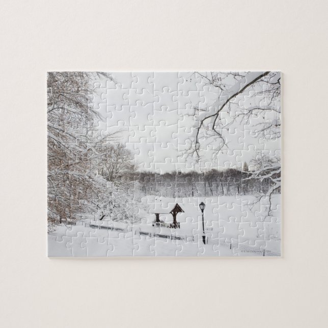USA, New York City, Central Park in winter Jigsaw Puzzle (Horizontal)