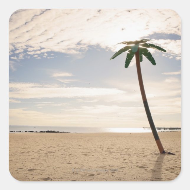 USA, New York City, Coney Island, palm tree on Square Sticker (Front)