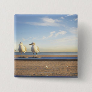 USA, New York City, Coney Island, three seagulls 15 Cm Square Badge