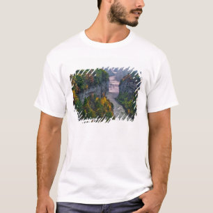 USA, New York, Letchworth State Park. River and T-Shirt