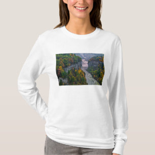 USA, New York, Letchworth State Park. River and T-Shirt