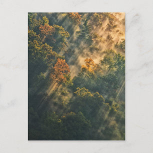USA, New York, Letchworth State Park. Sunrise Postcard
