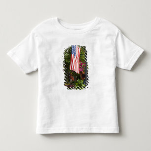 USA, New York, Lewiston. American flag attached Toddler T-Shirt