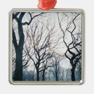 USA, New York, New York City: Central Park Metal Ornament