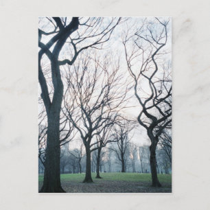 USA, New York, New York City: Central Park Postcard