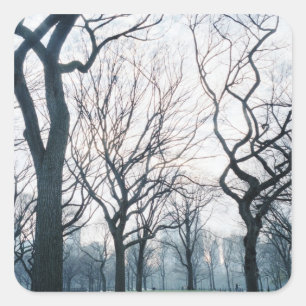 USA, New York, New York City: Central Park Square Sticker
