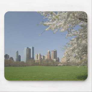 USA, New York, New York City, Manhattan: 19 Mouse Pad