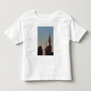 USA, New York, New York City, Manhattan: 3 Toddler T-Shirt