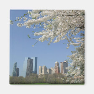 USA, New York, New York City, Manhattan: 4 Magnet