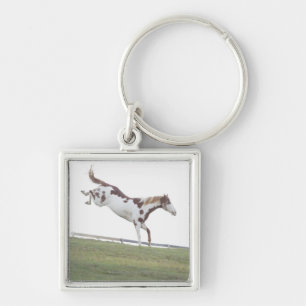 USA, New York State, Hudson, Horse jumping in Key Ring