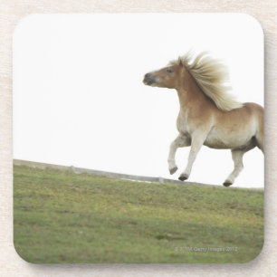 USA, New York State, Hudson, Horse running in 2 Coaster