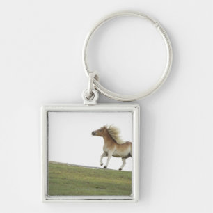 USA, New York State, Hudson, Horse running in 2 Key Ring