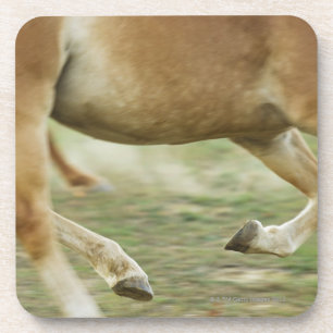 USA, New York State, Hudson, Horse running in Coaster