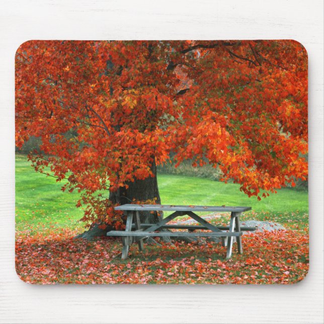 USA, New York, West Park. Bench Under Maple Mouse Pad (Front)