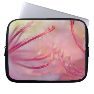 USA, North Carolina. Catawba rhododendron with Laptop Sleeve