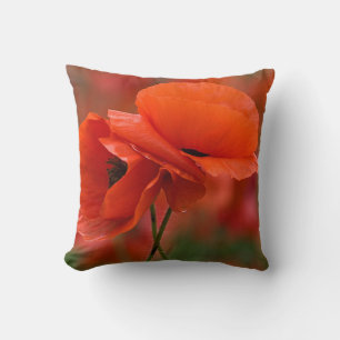 USA, North Carolina. Close-up of poppy Cushion