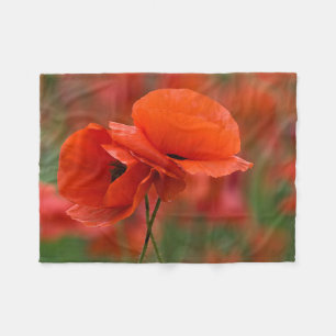 USA, North Carolina. Close-up of poppy Fleece Blanket