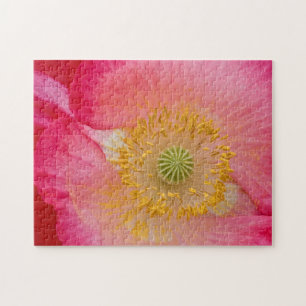 USA, North Carolina. Close-up of poppy interior Jigsaw Puzzle