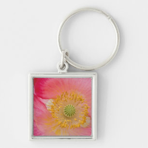 USA, North Carolina. Close-up of poppy interior Key Ring