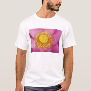 USA; North Carolina; Lotus blooming in the T-Shirt