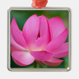 USA; North Carolina; Lotus blossom Metal Tree Decoration