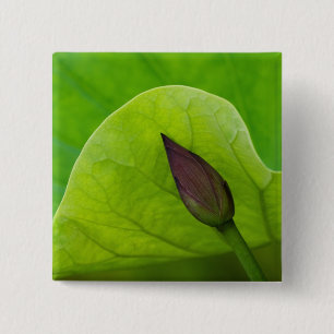 USA; North Carolina; Lotus leaf and bud 15 Cm Square Badge