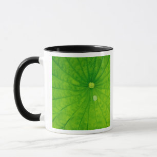 USA; North Carolina; Lotus leaf with dew drop Mug