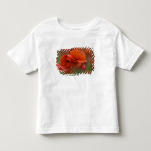 USA, North Carolina. Two red poppies Toddler T-Shirt