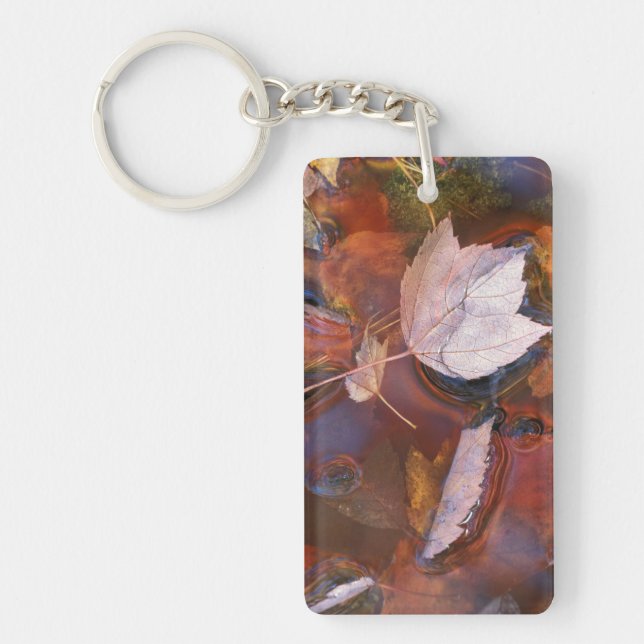 USA, Northeast, Fall leaves in puddle with Key Ring (Front)