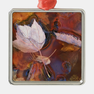 USA, Northeast, Fall leaves in puddle with Metal Ornament