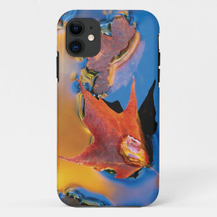 USA, Northeast, Maple Leaf in Reflection iPhone 11 Case