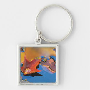 USA, Northeast, Maple Leaf in Reflection Key Ring