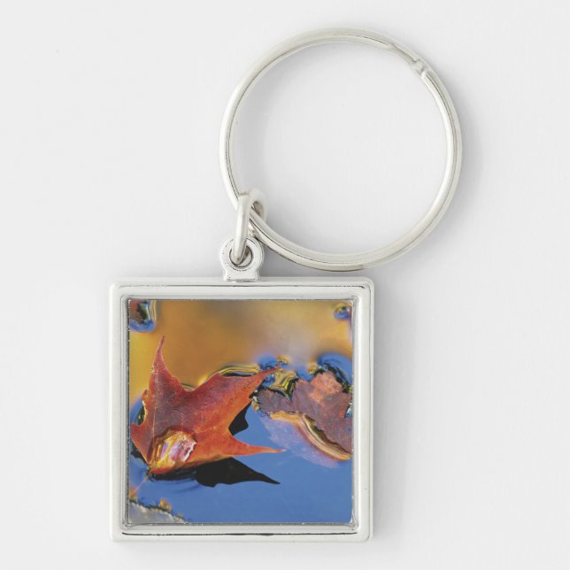 USA, Northeast, Maple Leaf in Reflection Key Ring (Front)