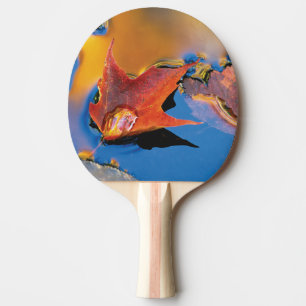 USA, Northeast, Maple Leaf in Reflection Ping Pong Paddle