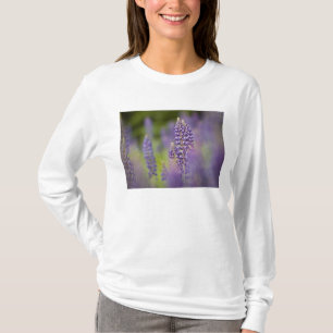 USA, Northeastern Minnesota, near Silver Bay, T-Shirt